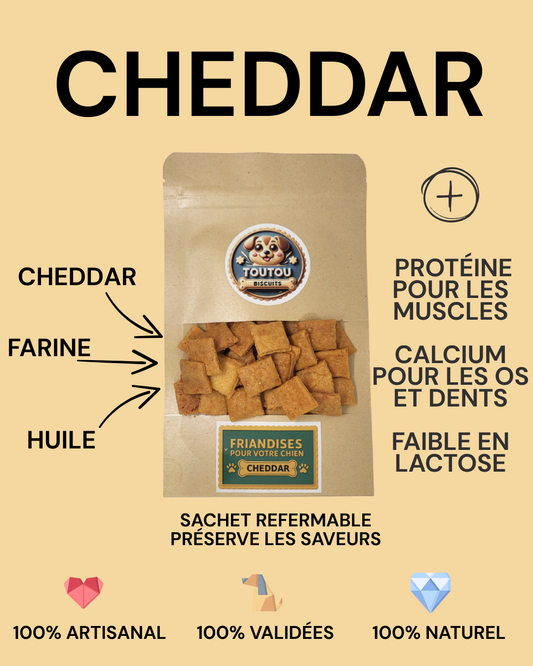 BISCUITS AU CHEDDAR