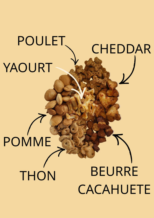 la composition des 6 saveurs du pack dégustaton - toutou biscuits