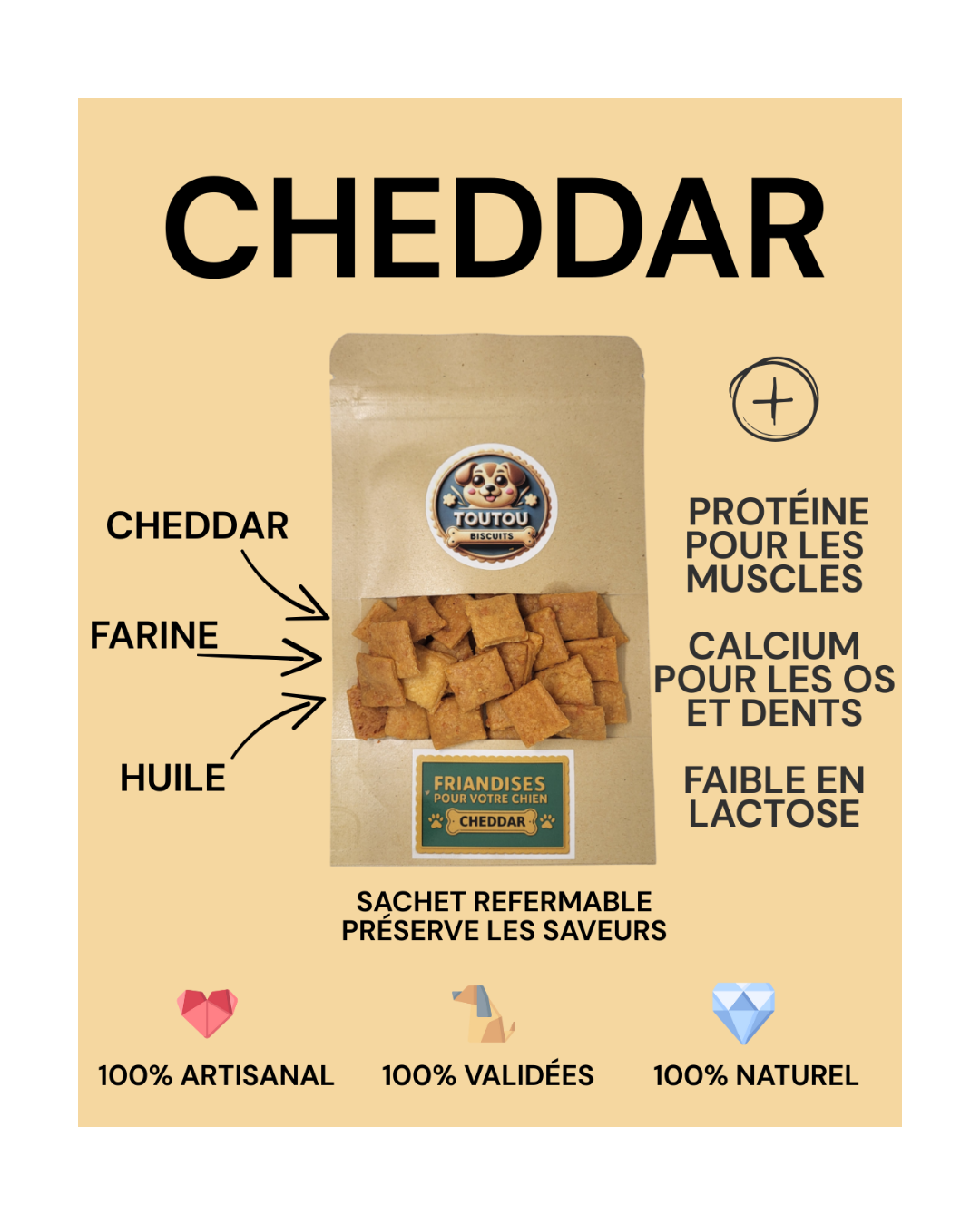 detail de la composition du cheddar et les plus de nos produits - toutou biscuits