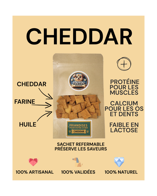 detail de la composition du cheddar et les plus de nos produits - toutou biscuits
