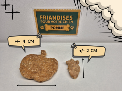 detail de la taille des biscuits