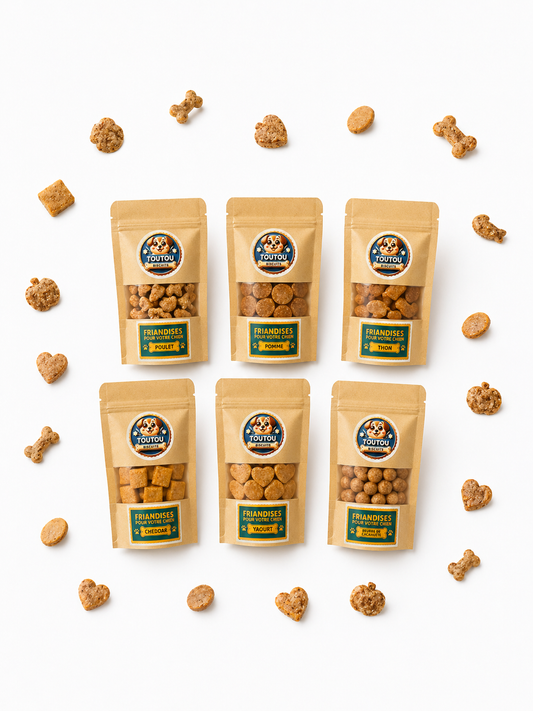descriptif des 6 petits sachets 