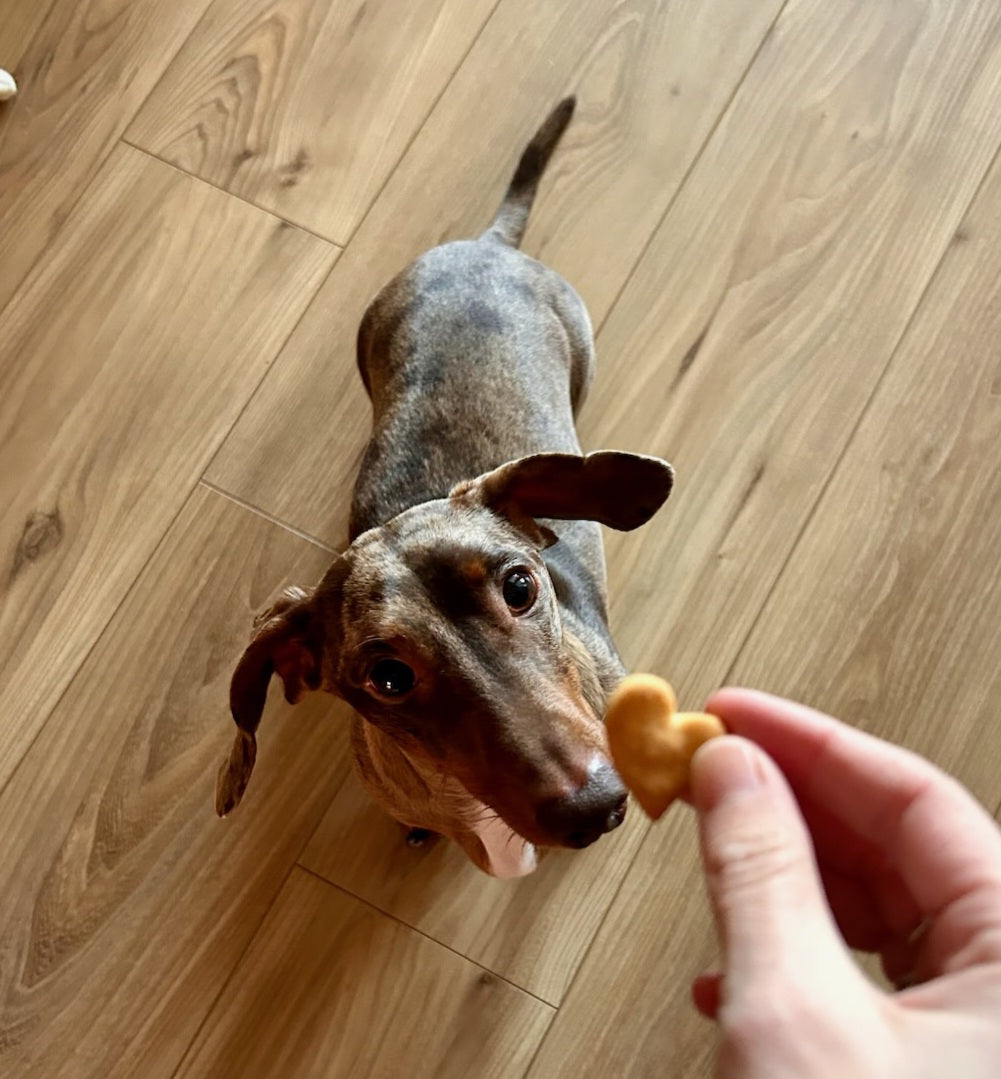 toutoubiscuits
